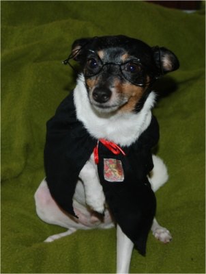 FinnHalloween_102011-01.JPG