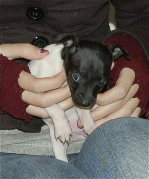 Echo_102007_01.JPG