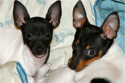 FinnEcho_122007_04.jpg