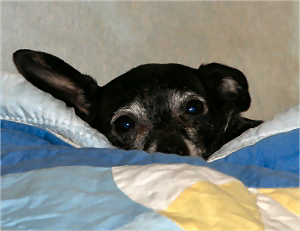 Echo_112010-03.jpg
