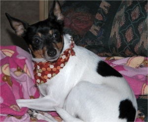 Finn_112010-01.jpg