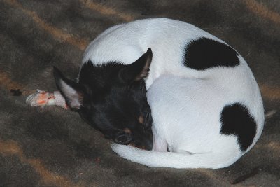 DSC_1654.JPG